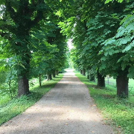 Apartament Schloss *