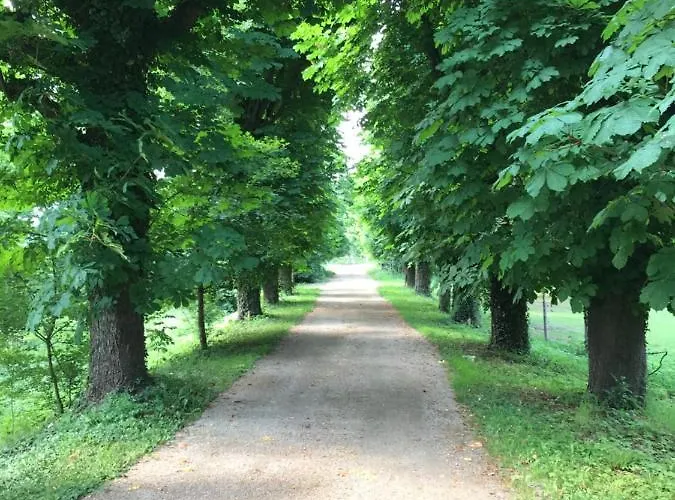 Appartement Schloss *